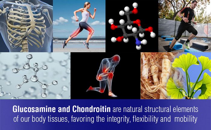 Chondroitin and glucosamine